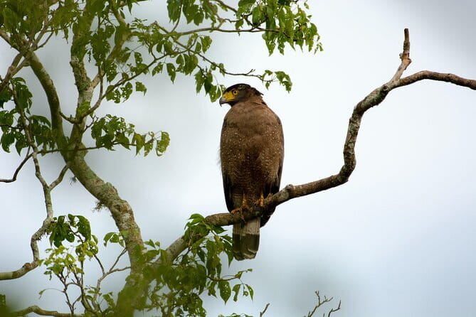 Full Day Safari Tour Yala - Entering Yala National Park from Tissamaharama