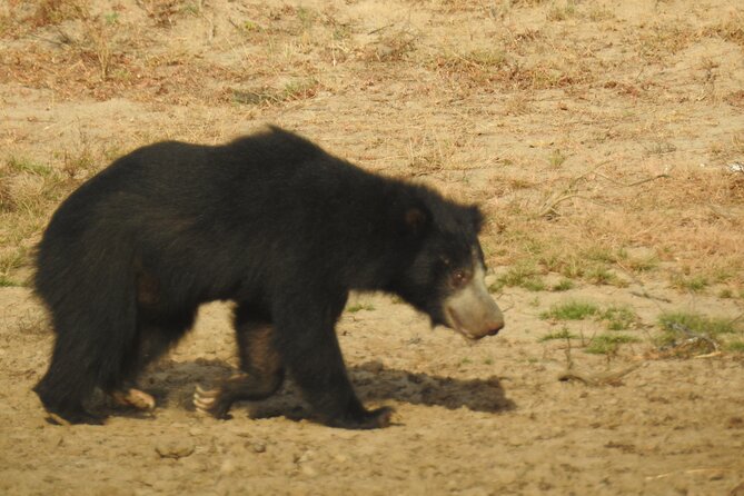 Full day Safari - Yala National Park - 04.30 am to 06.00 pm with - Janaka safari - Elephants, bears, crocodiles, and the rest