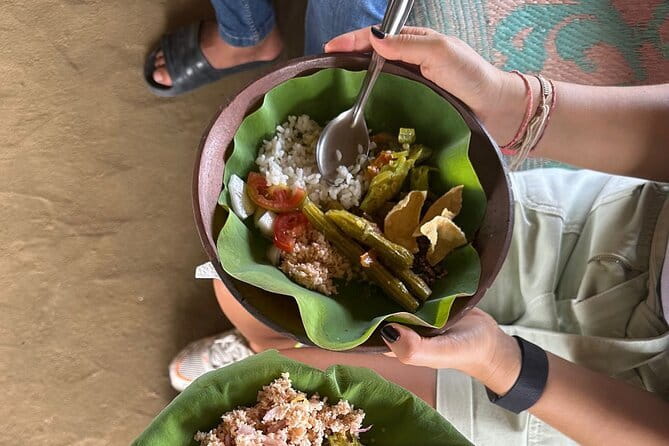 Full Day Trip to Sigiriya and Dambulla from Kandy - What the $60 really buys you
