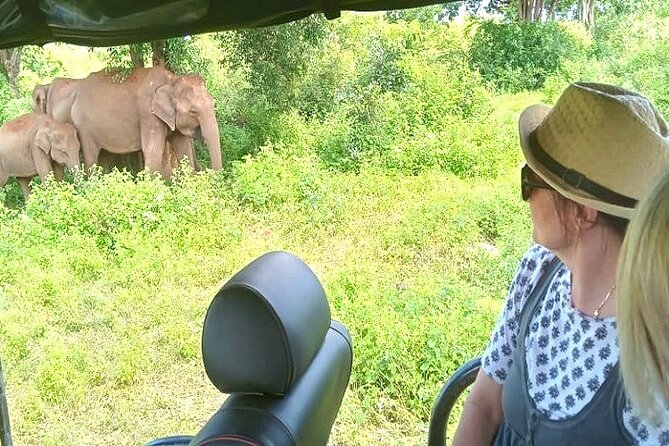 Fully Private Udawalawe National Park Safari Tour - Key points to know before booking