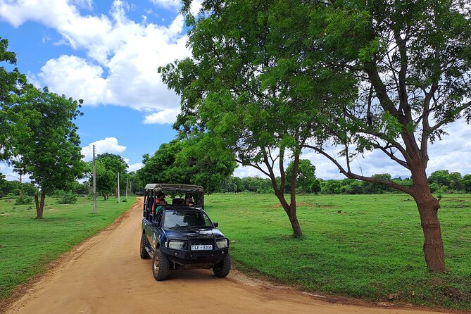 Fully Private Udawalawe National Park Safari Tour - Lunch and the practical value of the package