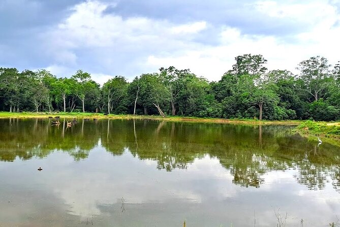 Fully Private Udawalawe National Park Safari Tour - What makes the private format useful