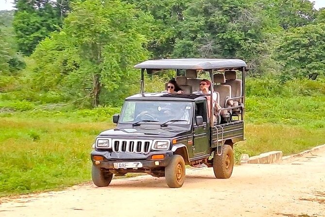 Fully Private Udawalawe National Park Safari Tour - Who will get the most from this safari