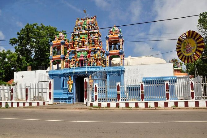Fun and Scenic Negombo Tour by Tuk Tuk - Fish Market: the tour’s most direct local encounter