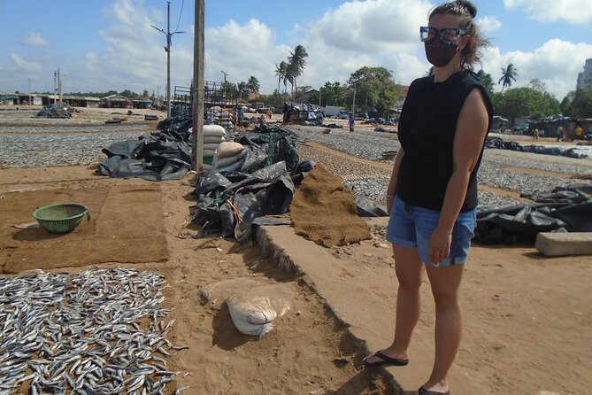 Fun and Scenic Negombo Tour by Tuk Tuk - Hamilton Canal: see the route between city and coast