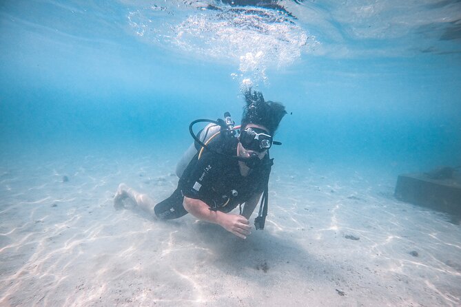 Fun Dives For Certified Divers - How certification and weather shape your session