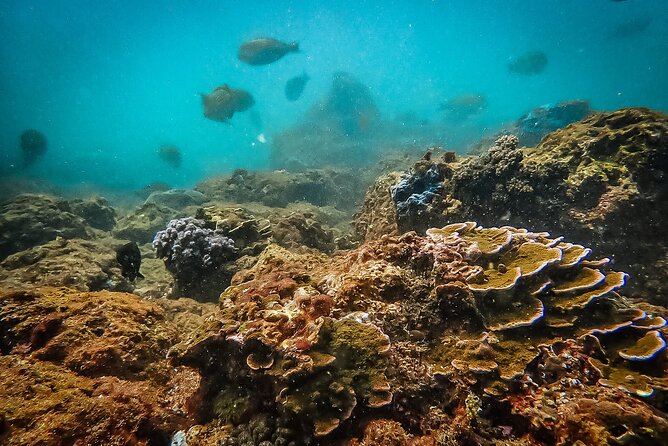 Fun Dives For Certified Divers - What the two-hour plan actually includes