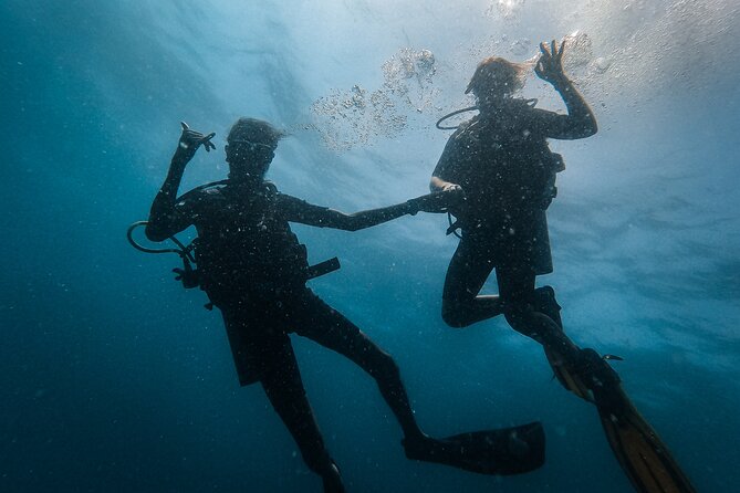 Fun Dives For Certified Divers - Who will enjoy this most