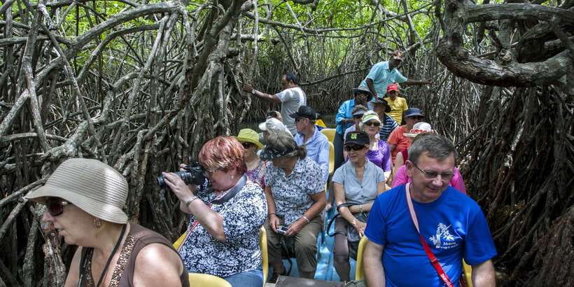 Galle and Bentota Day-Tour From Colombo - Kosgoda explains the work behind turtle protection