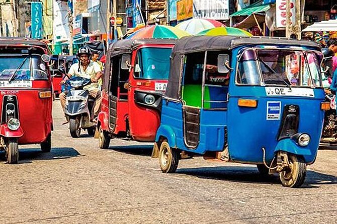 Galle City Sightseeing Tour by Tuk Tuk - Turtle conservation at Koggala