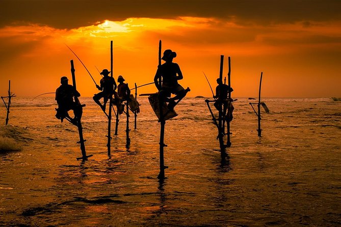 Galle Day Tour: Boat Safari, Dutch Fort, Stick Fishing & Turtles - What the $95 price covers