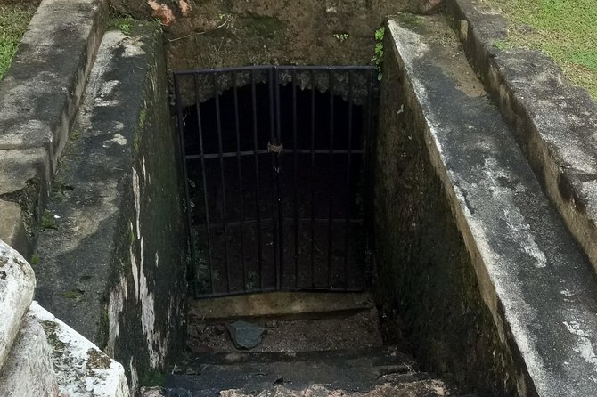 Galle day tour - Colombo to Galle trip - All Included - The turtle hatchery at Kosgoda