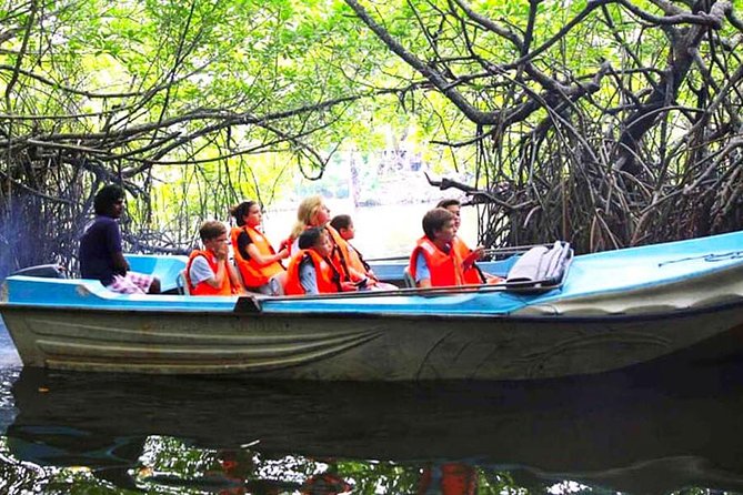 Galle Day Tour from Colombo or Negombo by Private Car , Van with Driver - Kosgoda brings a conservation stop into the route