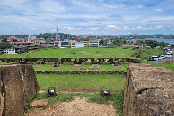Galle Day Tour with River Safari, Tea Plantation & Sea Turtle - Kosgoda Sea Turtle Conservation Project