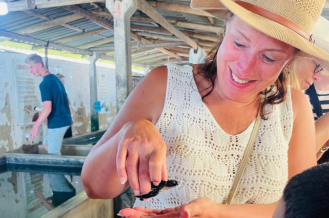 Galle Day Tour with Turtle Hatchery & River Boat Safari - What the $75 price really includes