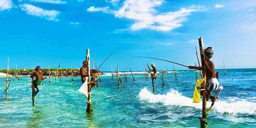 Galle Day Trip - River Safari, Sea Turtle & Stilt Fishermen - Bentota River safari through mangroves