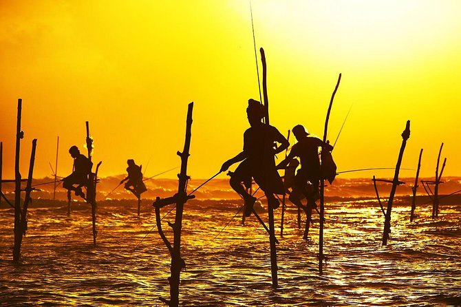 Galle Day Trip & Stilt Fishermen from Koggala - Rumassala’s Japanese Peace Pagoda and the 360-degree view