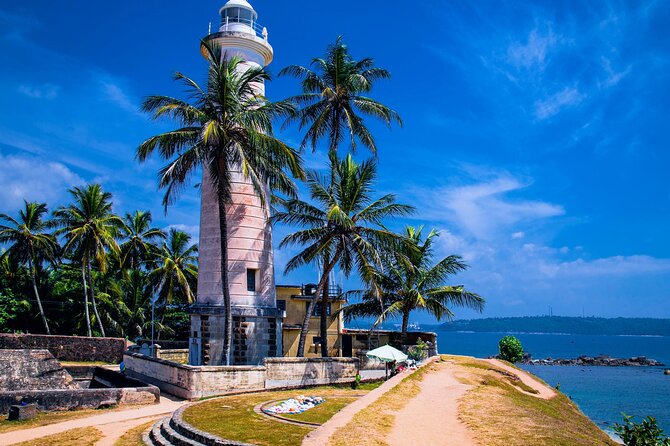 Galle Day Trip with River Safari, Sea Turtle & Stilt Fishermen - Learning the hard case for sea turtle protection