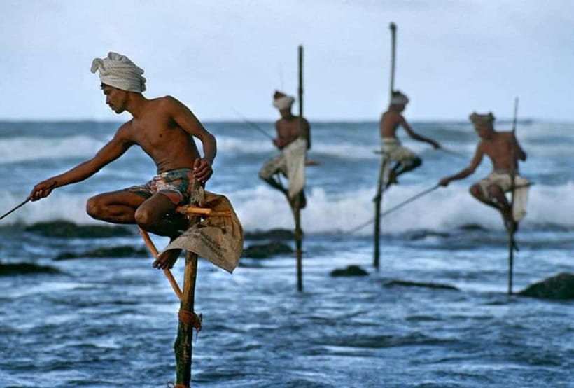 Galle Fort, Bentota, Hikkaduwa Beach: Day Tour from Colombo - A big southern-coast day from Colombo