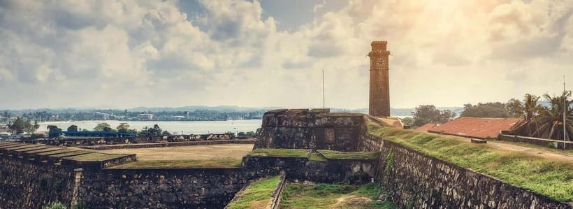 Galle Fort, Bentota, Hikkaduwa Beach: Day Tour from Colombo - Kosgoda shows the work of turtle conservation