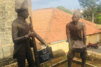 Galle Fort & boat safari & Turtles Day Trip