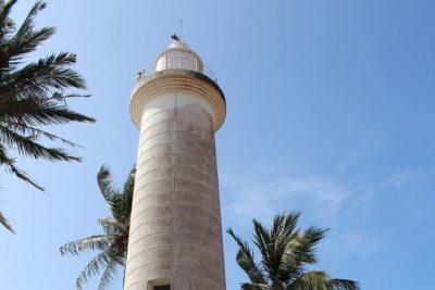 Galle Fort, Turtle, – Private Day Tour From Negombo or Colombo