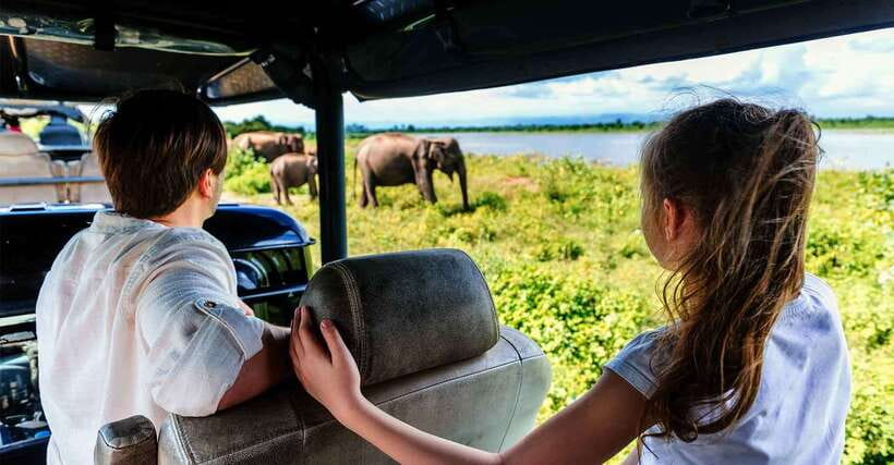 Galle/Mirissa/Hiriketiya: Drop to Ella & Udawalawa Safari - Changing from the car to the Udawalawe jeep