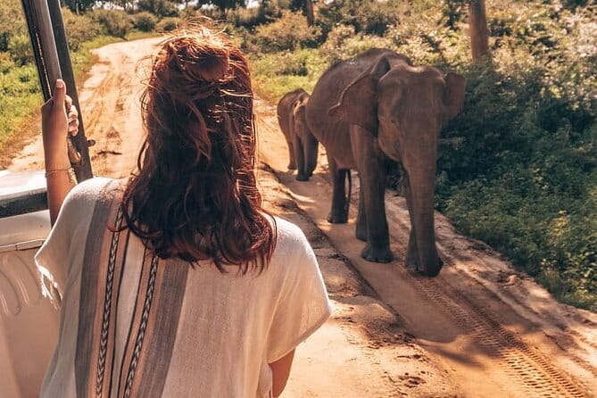 Galle/Mirissa/Tangalle: Transfer to Ella & Yala/Udawalawa Safari - Is $90 good value?
