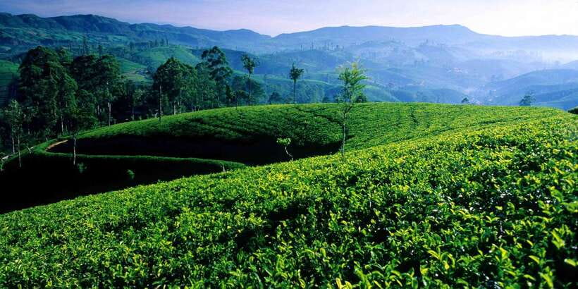 Galle/Weligama/Mirissa/Hiriketiya/Tangalle: Day Trip to Ella - 5:30 AM pickup and the long road inland