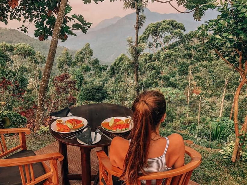 Get a private driver for day tours around Sri Lanka - Why a private car helps in Sri Lanka