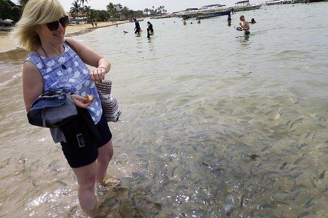 Glass Bottom Boat Tour and Snorkeling Hikkaduwa - Who will enjoy this Hikkaduwa outing?