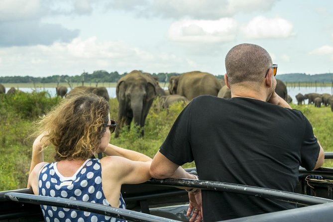 GO WILD! Double Safari Day Trip (Yala & Udawalawe) - Private & All Inclusive - The Elephant Transit Home in 30 minutes