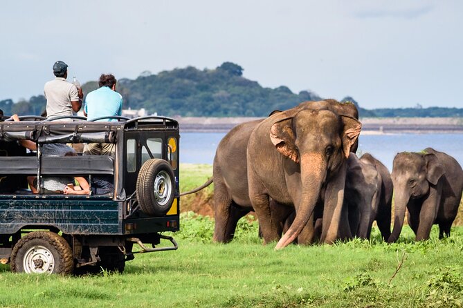 GO WILD! Double Safari Day Trip (Yala & Udawalawe) - Private & All Inclusive - Yala at Palatupana: the leopard possibility