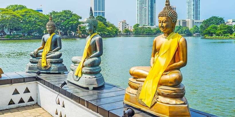 Guided Colombo Half-Day City Tour - Viharamahadevi Park: a short walk among the city’s trees
