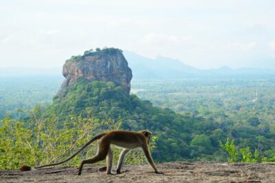 Guided Hike & Picnic with an Amazing View on Pidurangala Rock