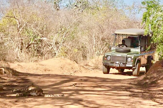 Guided Leopard Safari in Yala National Park in a Land Rover Defender - What you get for $108