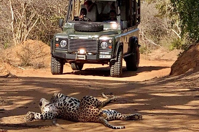 Guided Leopard Safari in Yala National Park in a Land Rover Defender - Who will enjoy this safari most