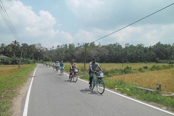 Half-Day Lagoon and Village Cycling Tour in Galle - Lagoons, mangroves, and village lanes