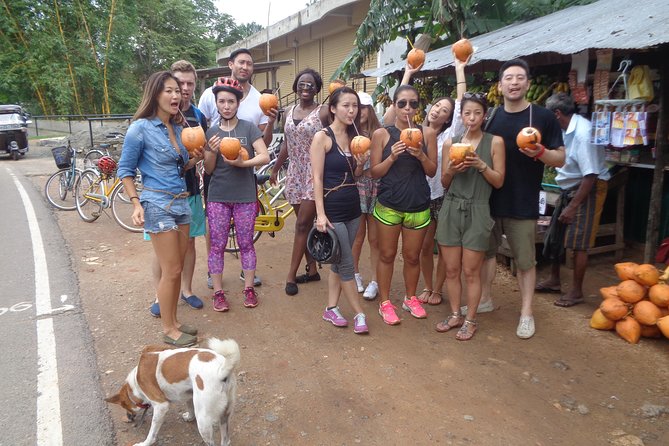 Half-Day Lagoon and Village Cycling Tour in Galle - What the $25 price covers