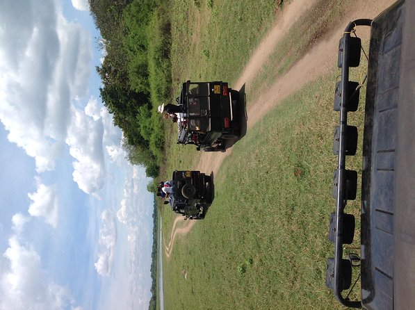 Half Day - Minneriya National Park Safari Tour From Habarana/Sigiriya - How to judge the $35.83 price