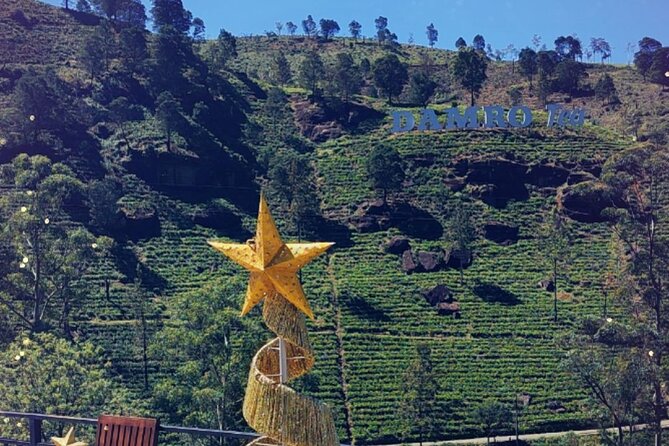 Half-Day Private Trip to Waterfalls and Tea Factory - Damro Labookellie Tea Centre and Tea Garden