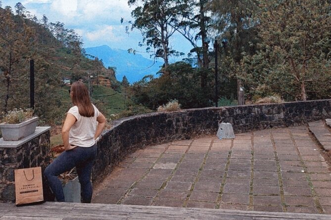 Half-Day Private Trip to Waterfalls and Tea Factory - Viewpoints, photo stops, and the return to town