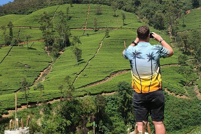 Half-Day Private Trip to Waterfalls and Tea Factory - Who gets the best value from this tour
