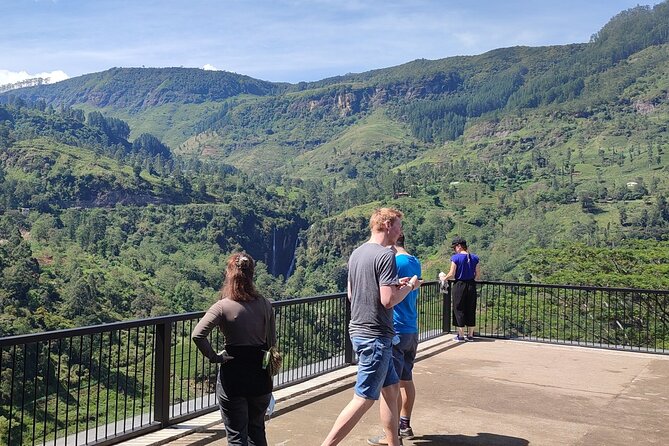 Half-Day Private Trip to Waterfalls and Tea Factory - Should you book this Nuwara Eliya tea and waterfall tour?