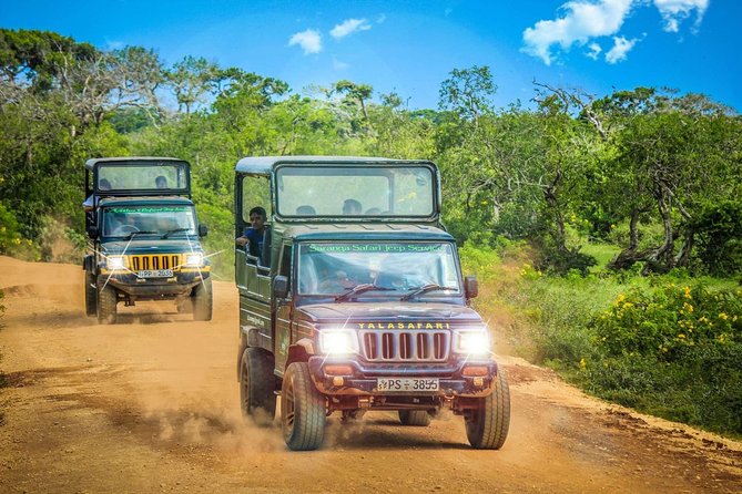 Half Day Safari at Yala National Park with Lunch - A local lunch after the park