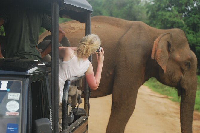 Half Day Safari Guided Tour - Yala National Park: the strongest match for the title