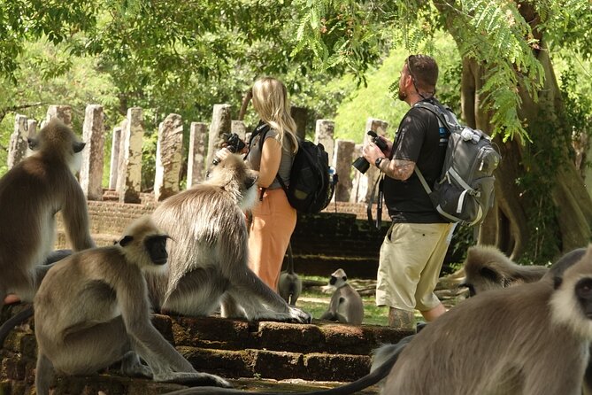 Half Day Safari Guided Tour - Who will get the most from this safari