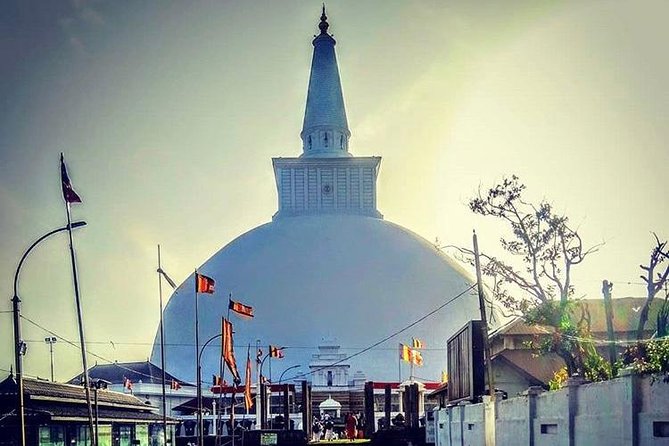Half day tour - in Sacred city of Anuradhapura Or sacred city of Mihintale. - Why Anuradhapura works well with a guide