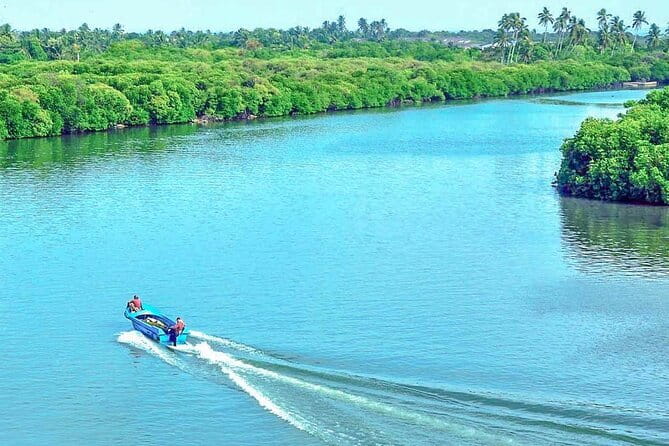 Half Day Tour to Muthurajawela, Lagoon, Dutch Canal and Mangroves - Why Negombo’s wetlands are worth your morning