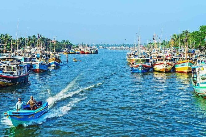 Half Day Tour to Muthurajawela, Lagoon, Dutch Canal and Mangroves - Watching the lagoon at working speed
